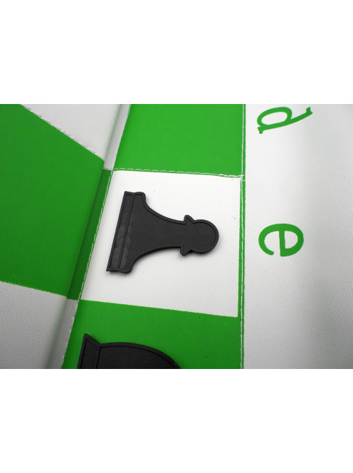 Roll-up magnetic demonstration chessboard