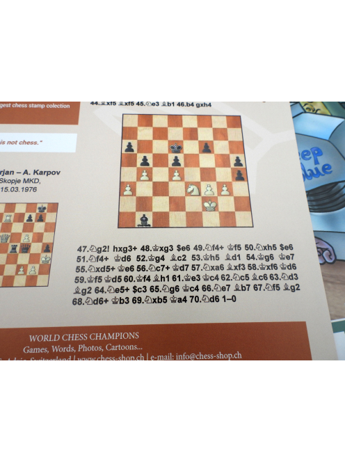 Poster Collection of 16 World Chess Champions (A4)